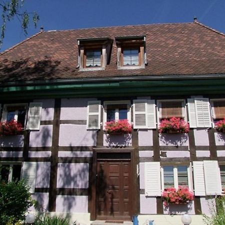 Chambres D'Hotes "Aux Portes De L'Alsace" Suarce Exterior photo